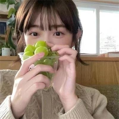 疯狂兔宝
